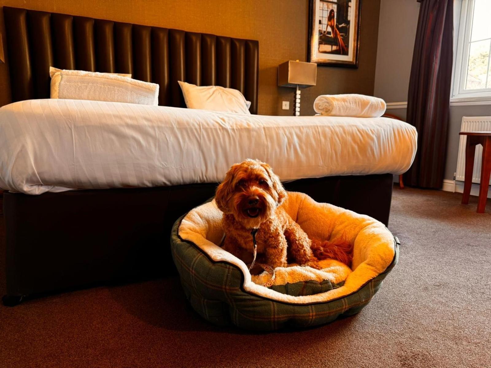 The Ashbourne Hotel North Killingholme Kültér fotó